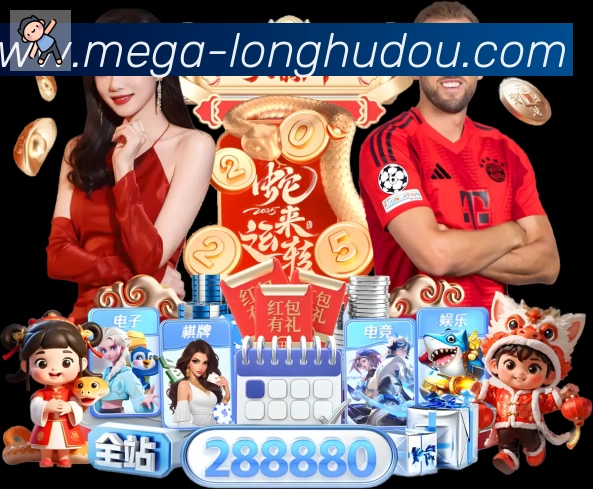 未来规划